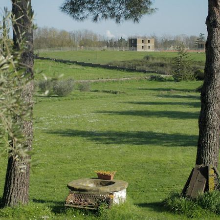 Bed and Breakfast Il Casale Di Gardenia Cesano Exteriér fotografie